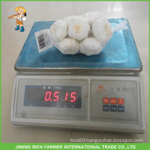 5.0CM Jinxiang Super White Garlic Fresh Garlic